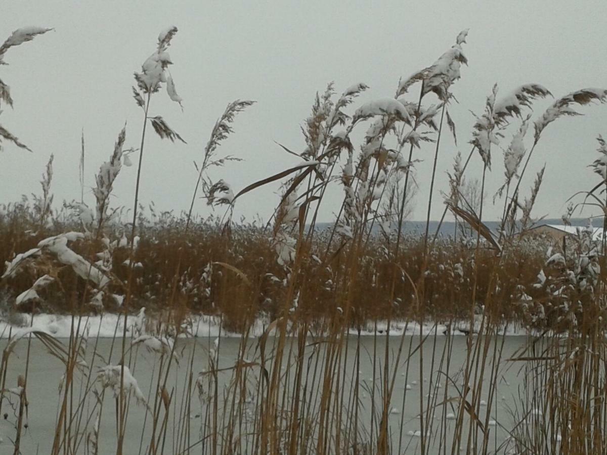 Laubgassl Moerbisch Am See
